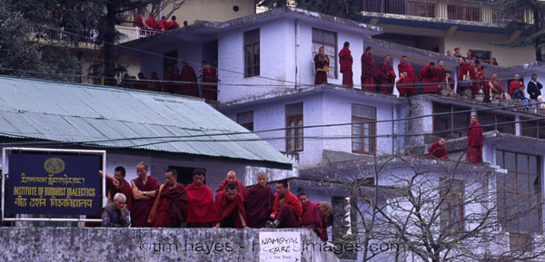 Dharamsala Monks