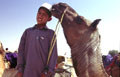 Rajasthan Camel Boy