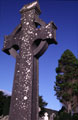 Celtic Cross and Tree