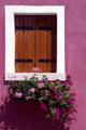 Pink Burano Window
